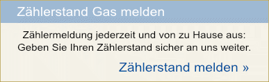 Banner Zählermeldung